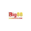 big88slotscom