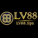 lv88_tips