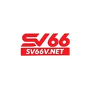 sv66vnet