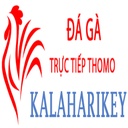 agatructiepthomo54