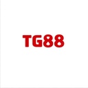 tg88366com