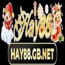 hay88gbnet1