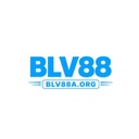 blv88aorg1
