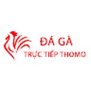 a_ga_truc_tiep72