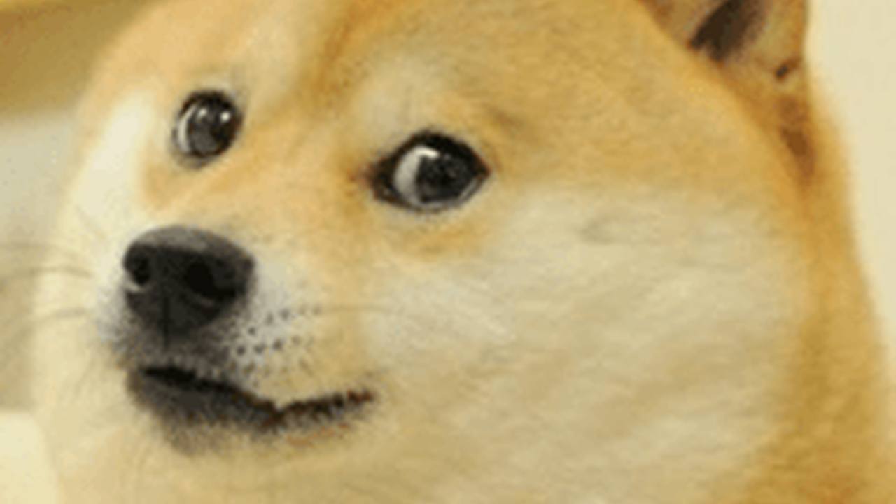 Xalaflix Top xalaflixtop Blender Community