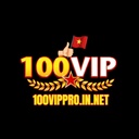 100vipproinnet