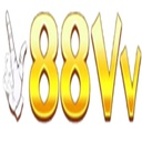 88vvpink1