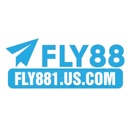 fly8811