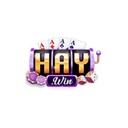 haywin1review