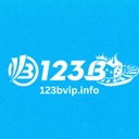 123b123b11
