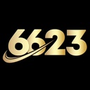 66237