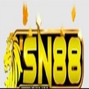 ytsn88com