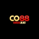 co88zininnet
