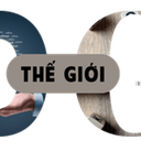 thegioidigi