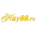 hay8828