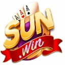 sun08_win