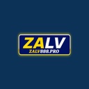 zalv888pro