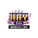 haywin11com