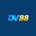dv881