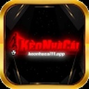 keo_nha_cai781