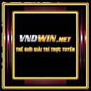 vndwinnnet