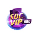 socviporg