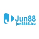 jun88110