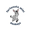 fortunataminidonkeys1