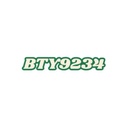 bty9234net