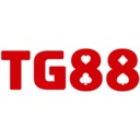 tg88cymru