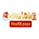 hay8818