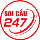 soicau24722