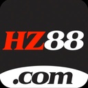 hz991