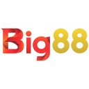 nhacaibig882