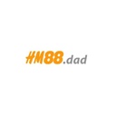 hm881