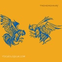 thomohomnaytructiepagathomo