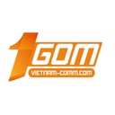 1gomvnc