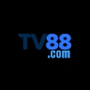 tv88stvincent