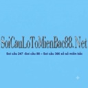 soicau24726