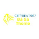 a_ga_truc_tiep_thomo49