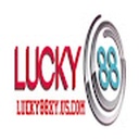 lucky8885