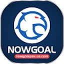 nowgoal161