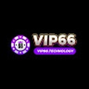 vip66techno