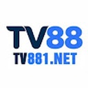 tv881net