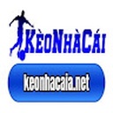 keo_nha28