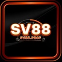 sv88prof