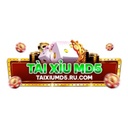 taixiumd5conggamexanhchinnaprut11uytin2026