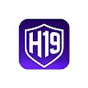 h1993