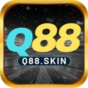 q88skin