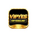 Vipyesbdnet